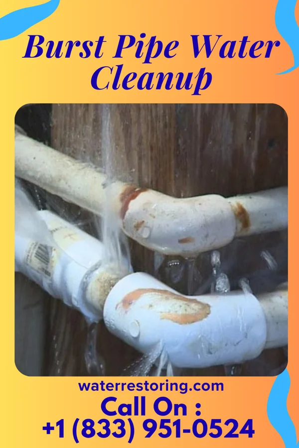 Burst Pipe Water Cleanup in East Dundee, IL