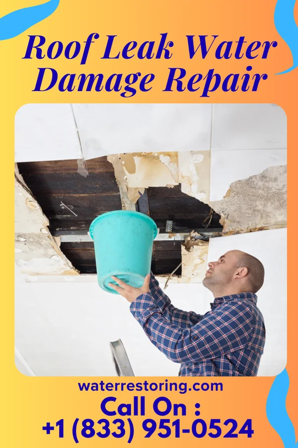 Roof Leak Water Damage Repair in East Dundee, IL