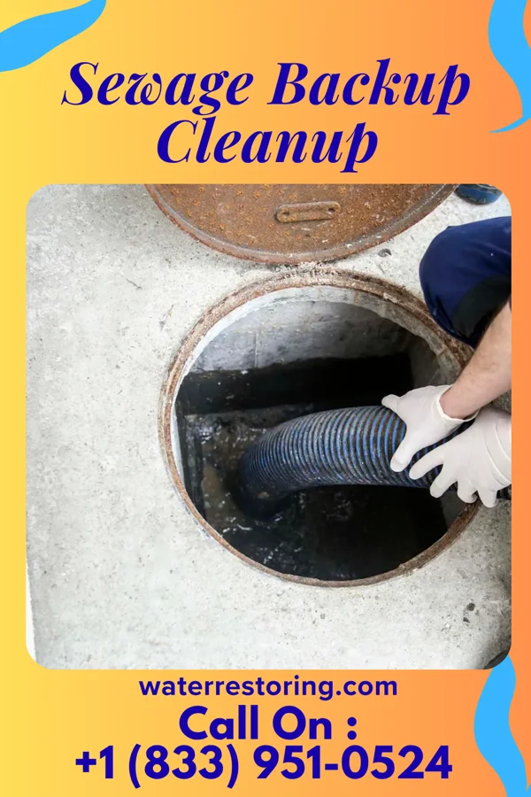 Sewage Backup Cleanup in East Dundee, IL