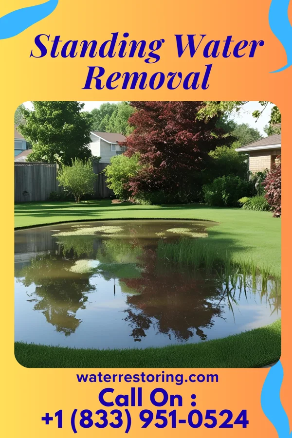 Standing Water Removal in East Dundee, IL